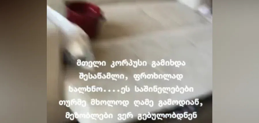 “ფრთხილად ხალხნო! ეს საშინელებები თურმე მხოლოდ ღამე გამოდიან… შიშით ვიღებდი ვიდეოს” – რა კადრები ვრცელდება სოციალურ ქსელში?