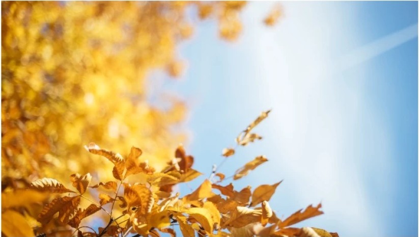 მზიანი დღეები გველოდება – ცნობილია როდიდან გამოიდარებს საქართველოში