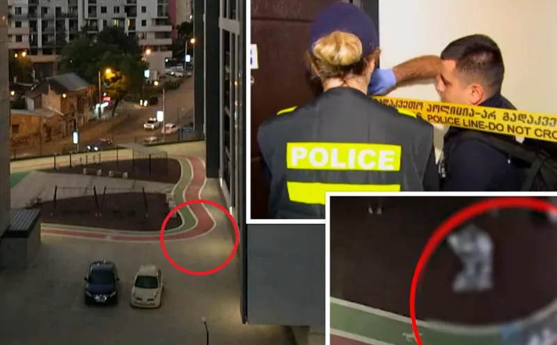 “უსულო საგნების გადმოყრას ჰგავდა… ჯერ მამაკაცი გადმოვარდა, შემდეგ – ქალი, შემდეგ – პარკი ჩამოაგდეს და ბოლოს ბავშვის ვარდნა დავინახე, მათი ბინა გარედან იყო დაკეტილი” – ახალი დეტალები