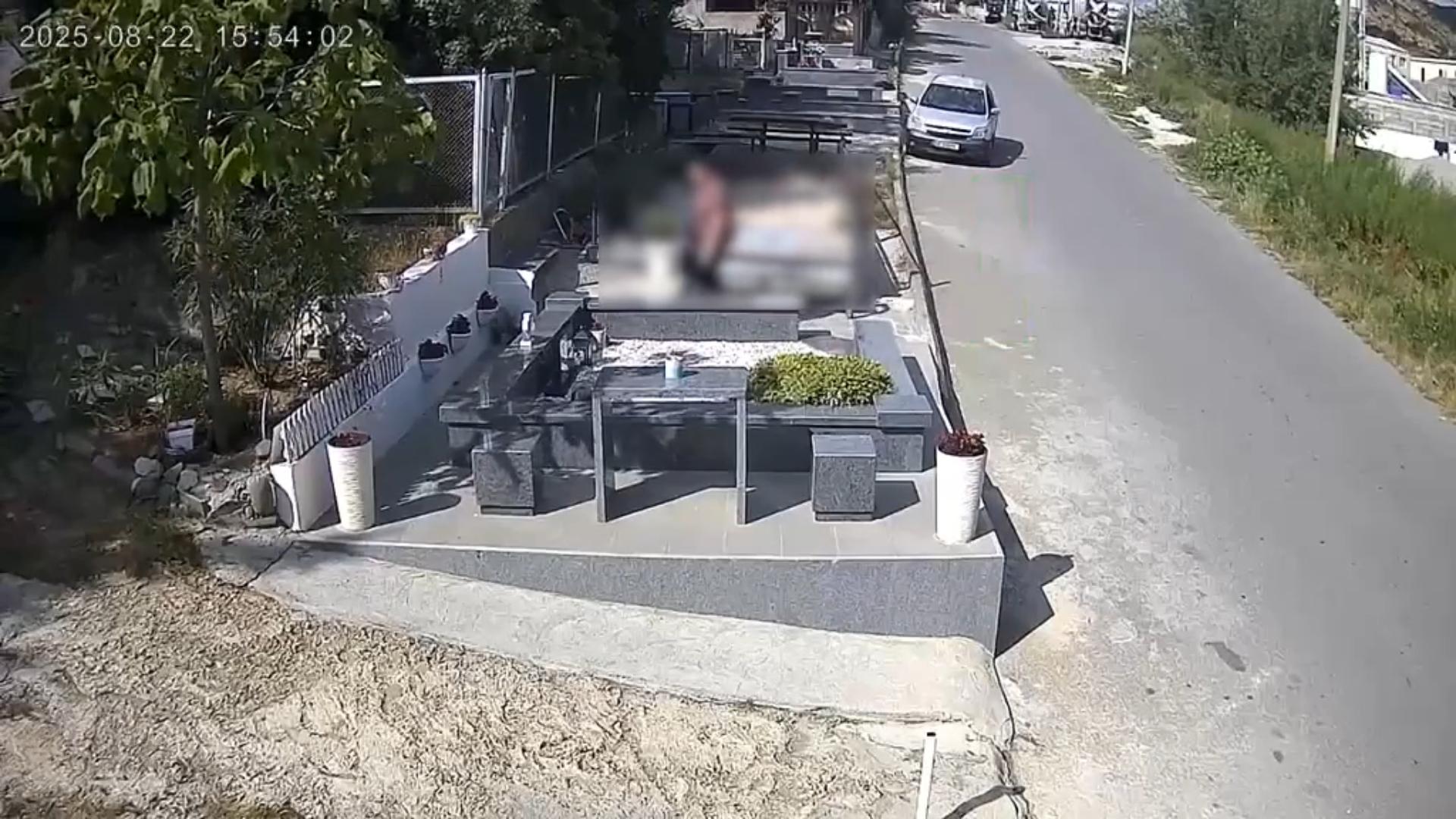 ვრცელდება სათვალთვალო კამერის ჩანაწერი – რა დააფიქსირა კამერამ ახალგაზრდა ბიჭის საფლავზე?