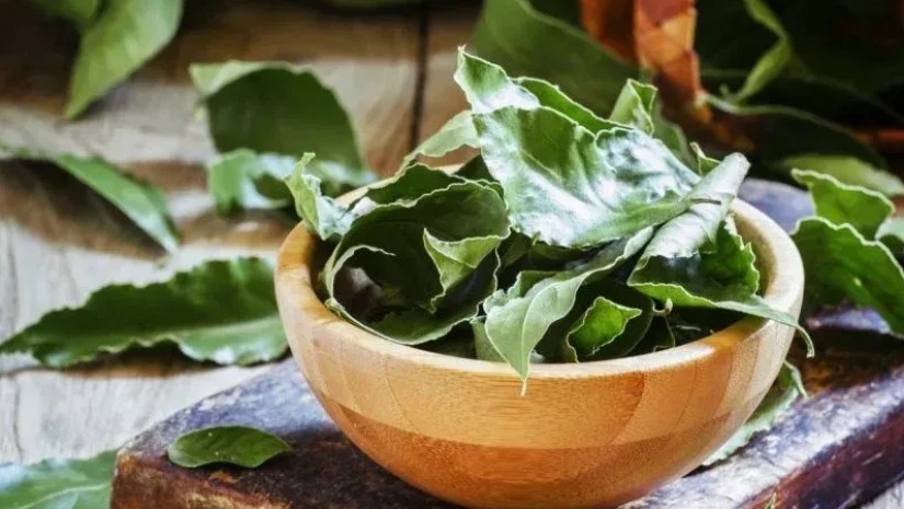 2 დაფნის ფოთოლი დაგჭირდებათ… – არ გამოგრჩეთ, 26 იანვარი სარკისებური დღეა