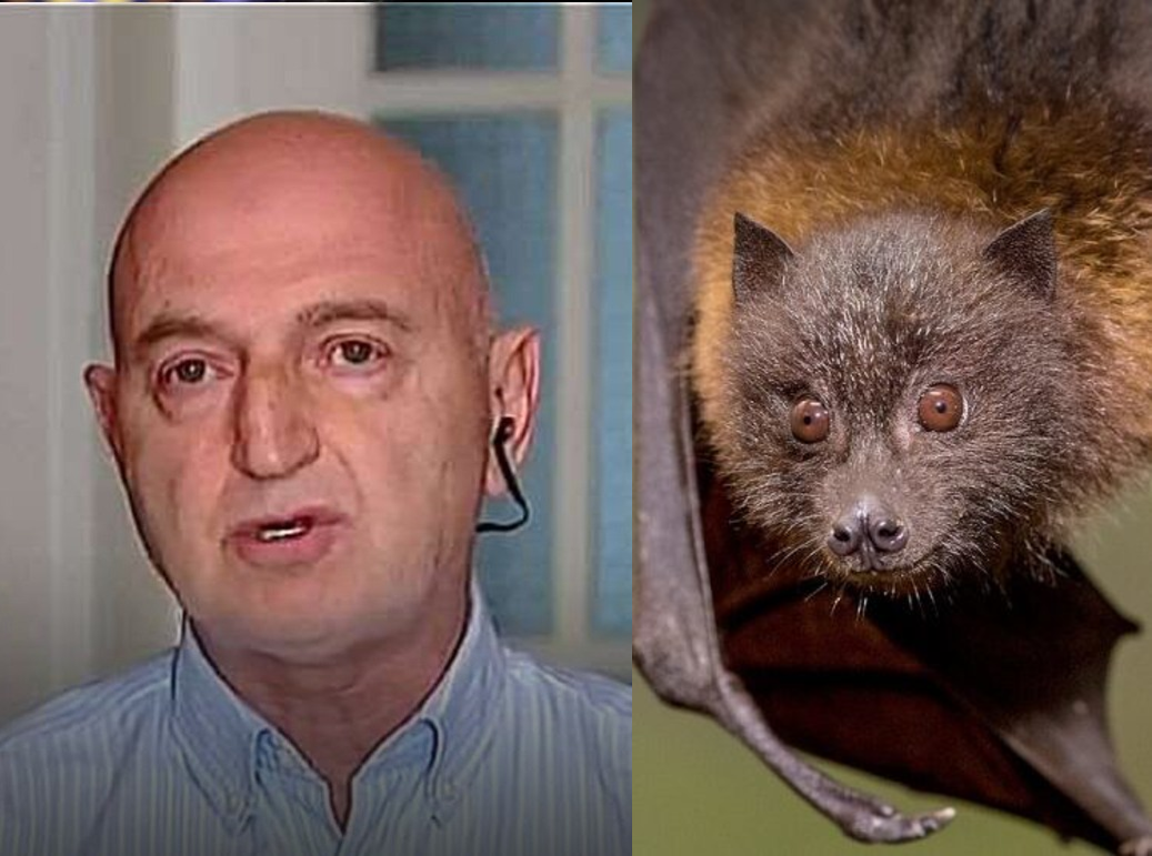 „მაქვს ეჭვი, რომ ეს ვირუსი საქართველოსთვის პრობლემა გახდეს“ – რა სიმპტომები ახასიათებს „ნიპაჰის“ ვირუსს და რამდენად მაღალია სიკვდილიანობის რისკი? ივანე ჩხაიძის განმარტება