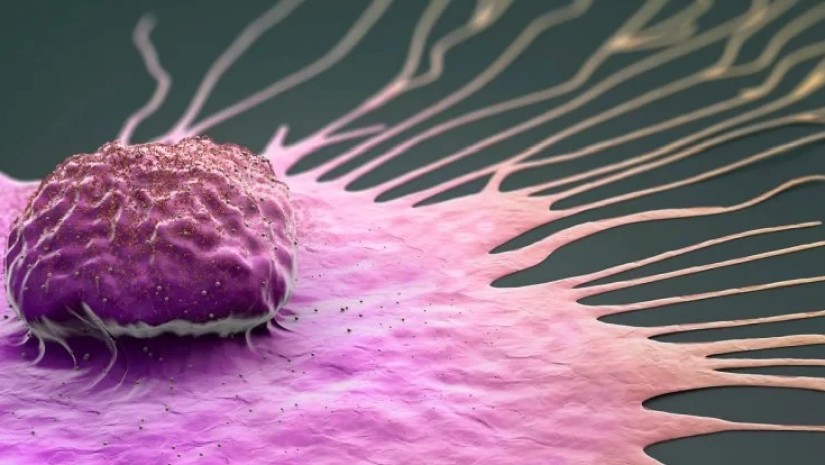 სიმსივნის შესაძლო ნიშნები, რომლებიც დაძინებამდე ვლინდება