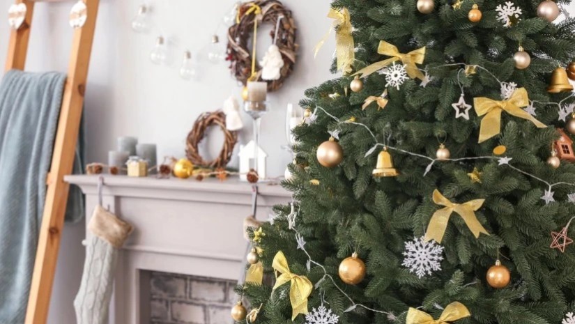 როდის უნდა ავიღოთ ნაძვის ხე – ნათლისღებამდე თუ შემდეგ